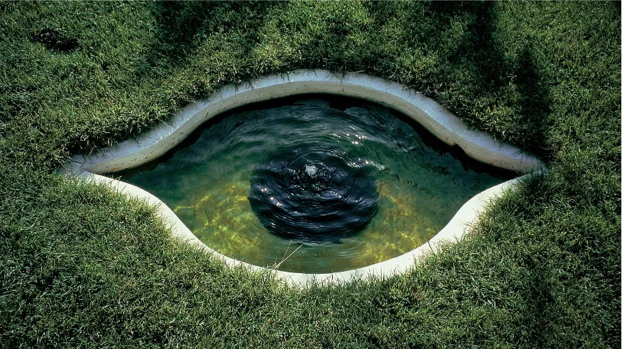Un jardin pour rêver
